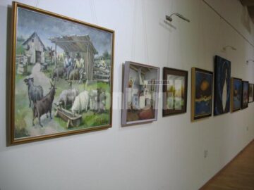 Salonul Anual de Artă 2011 - Secvență din expoziție