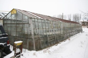 Plante care vor fi agățate pe stâlpii de iluminat