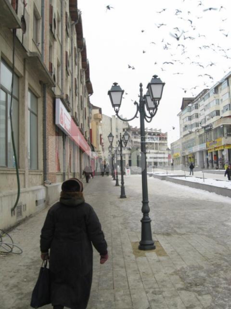 Stâlpii montați în centrul Sucevei au fost comandați special din Austria