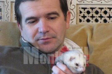 Medicul veterinar Radu Velisar și-a ales un dihor pe post de animal de companie