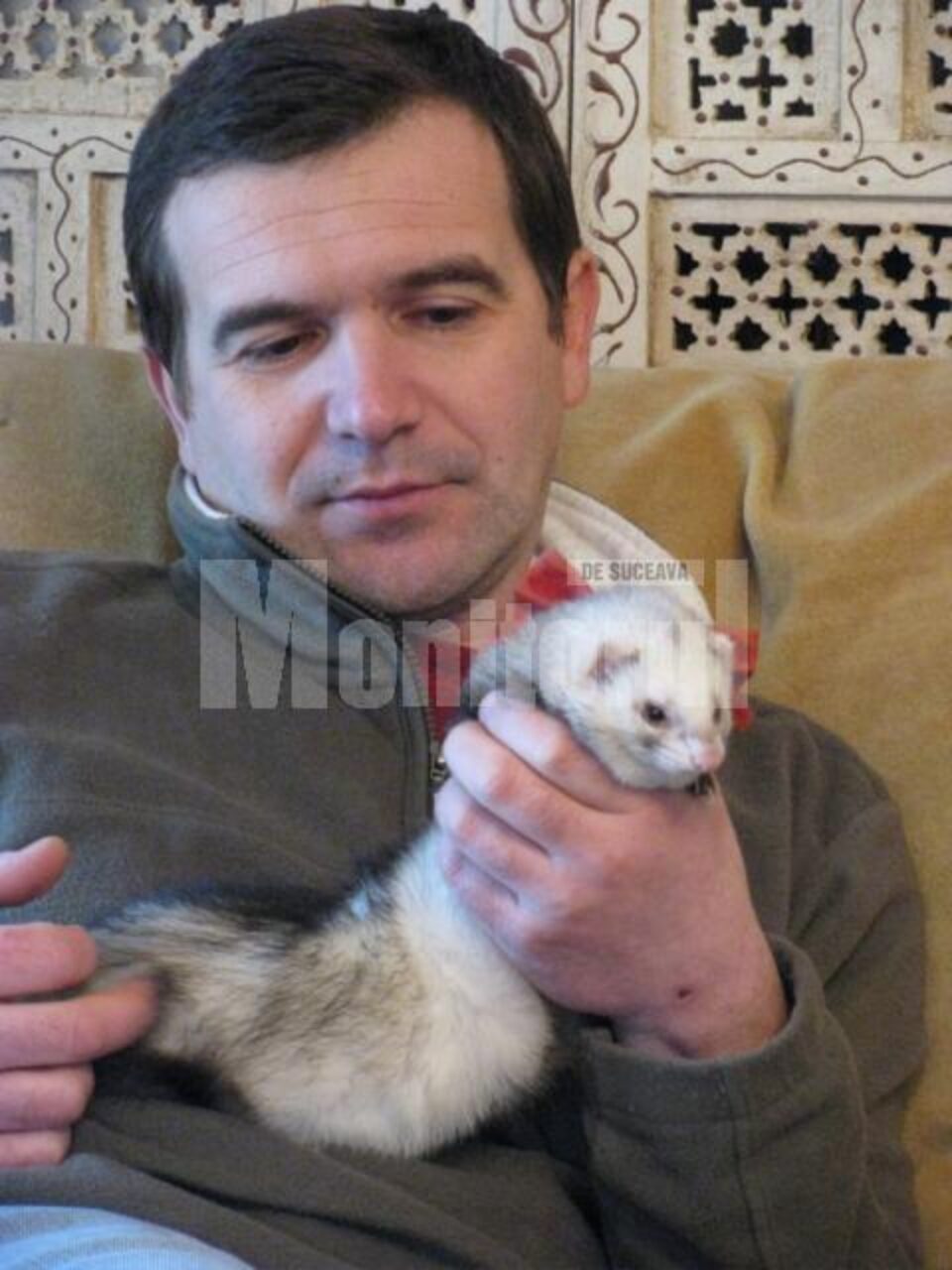 Medicul veterinar Radu Velisar și-a ales un dihor pe post de animal de companie