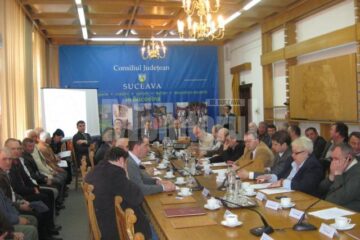 Bugetul propriu al județului și al instituțiilor subordonate pentru anul 2012, adoptat doar cu voturile consilierilor PD-L
