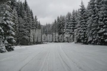 Cod portocaliu de ger extrem, până pe 3 februarie