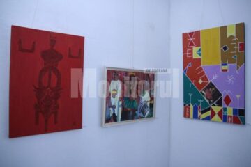 Secvență din expoziția lui Constantin Severin