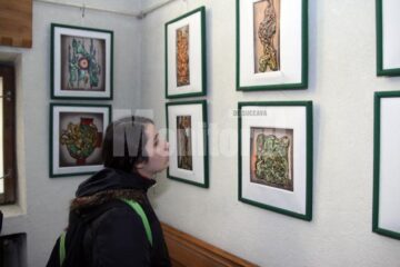 Expoziție Radu Bercea la Muzeul de Istorie Suceava