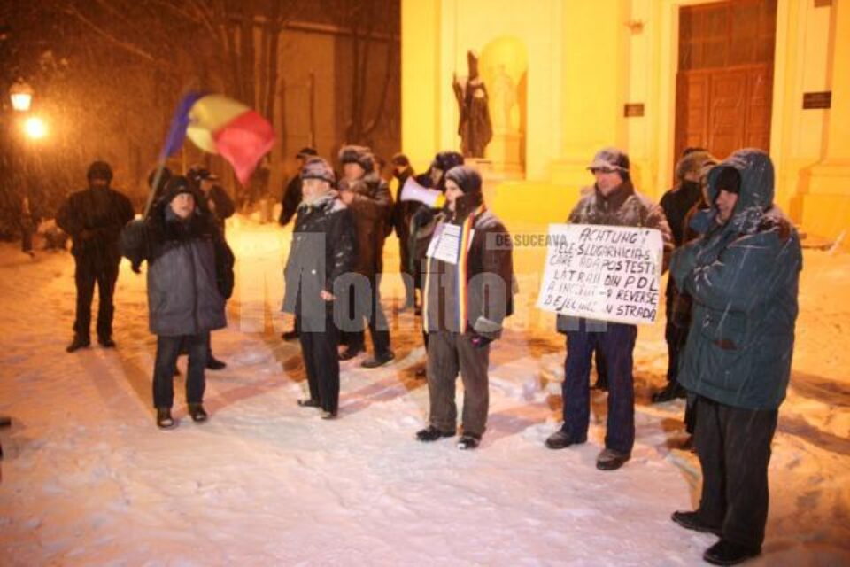 Cei aproximativ două zeci de protestatari au avut mesaje adaptate la ninsoarea și frigul de afară