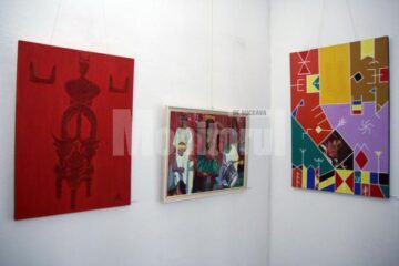Secvențe din expoziția lui Constantin Severin