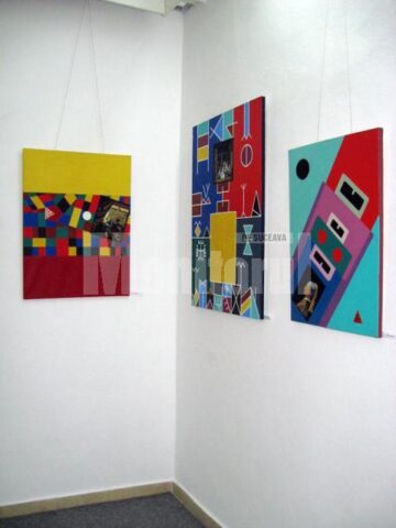 Secvențe din expoziția lui Constantin Severin