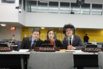 Bogdan Baciu și delegații de tineret ai României la ONU