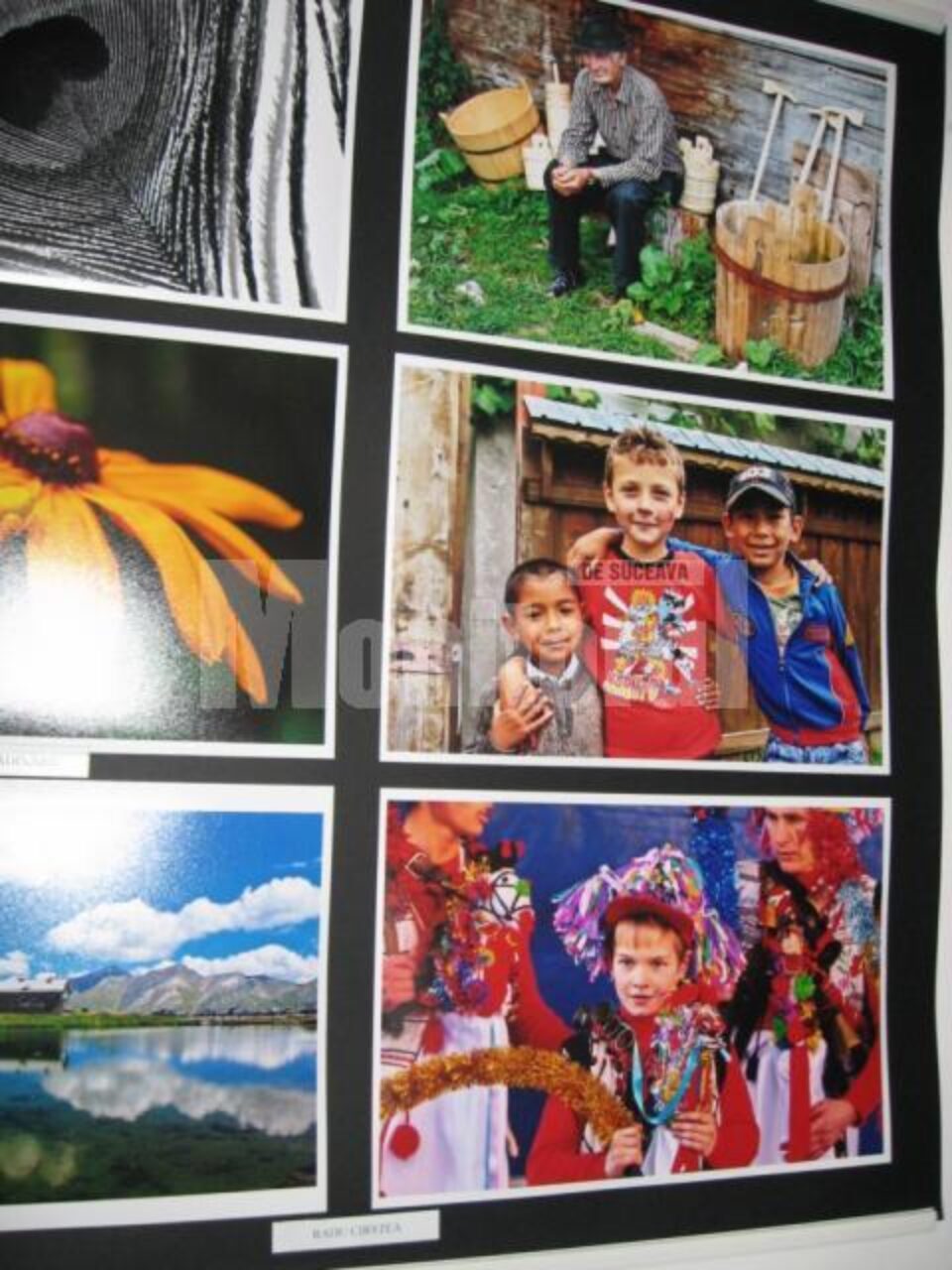 Expoziție de fotografie