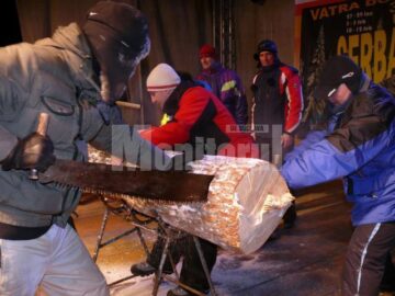 Concurs de tăiat bușteni