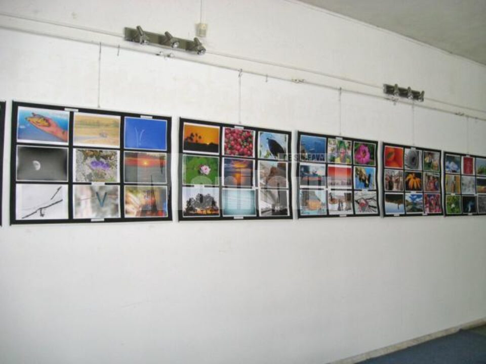 Expoziție de fotografie