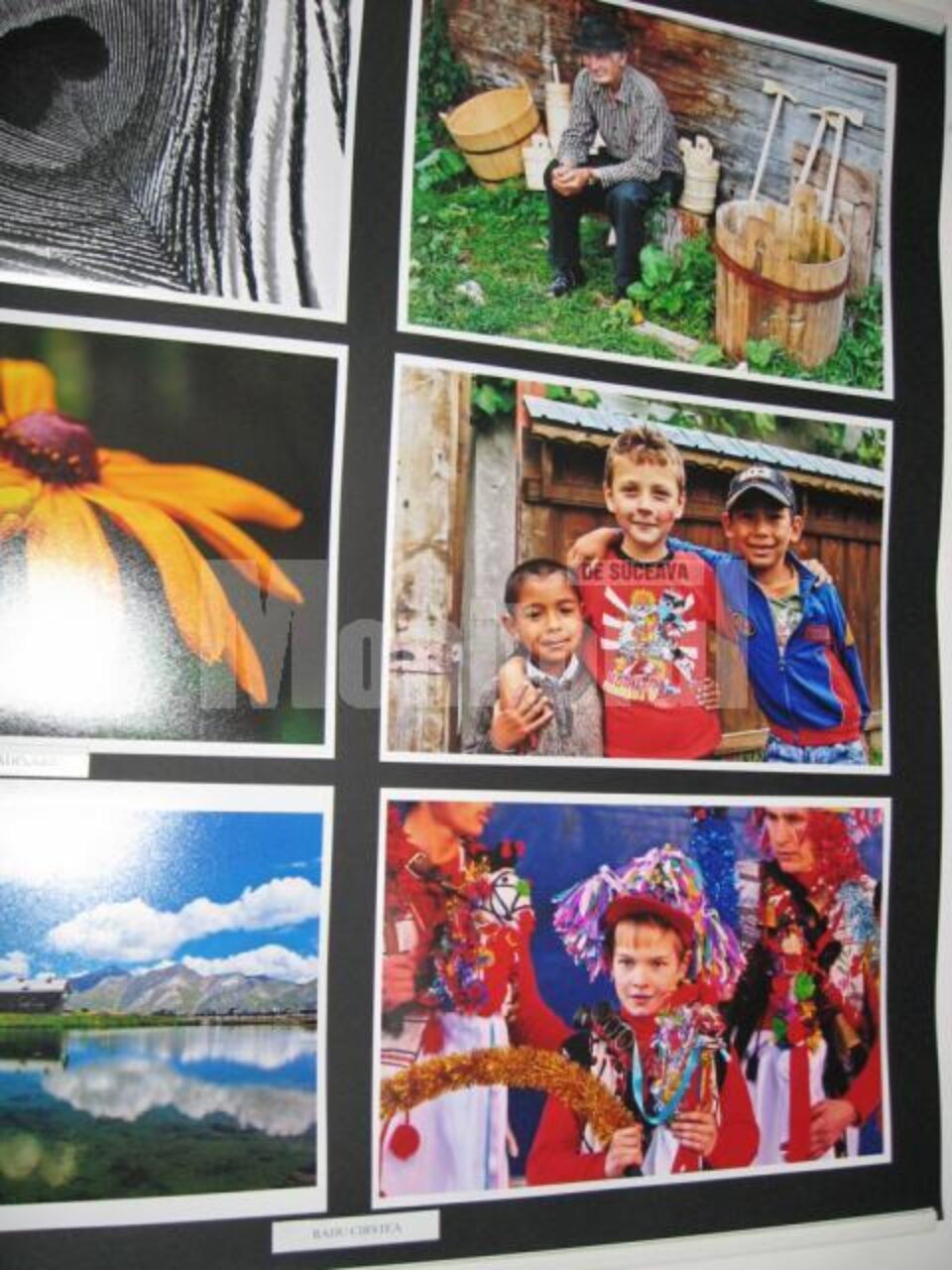 Expoziție de fotografie