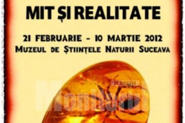 „Chihlimbarul - mit și realitate”