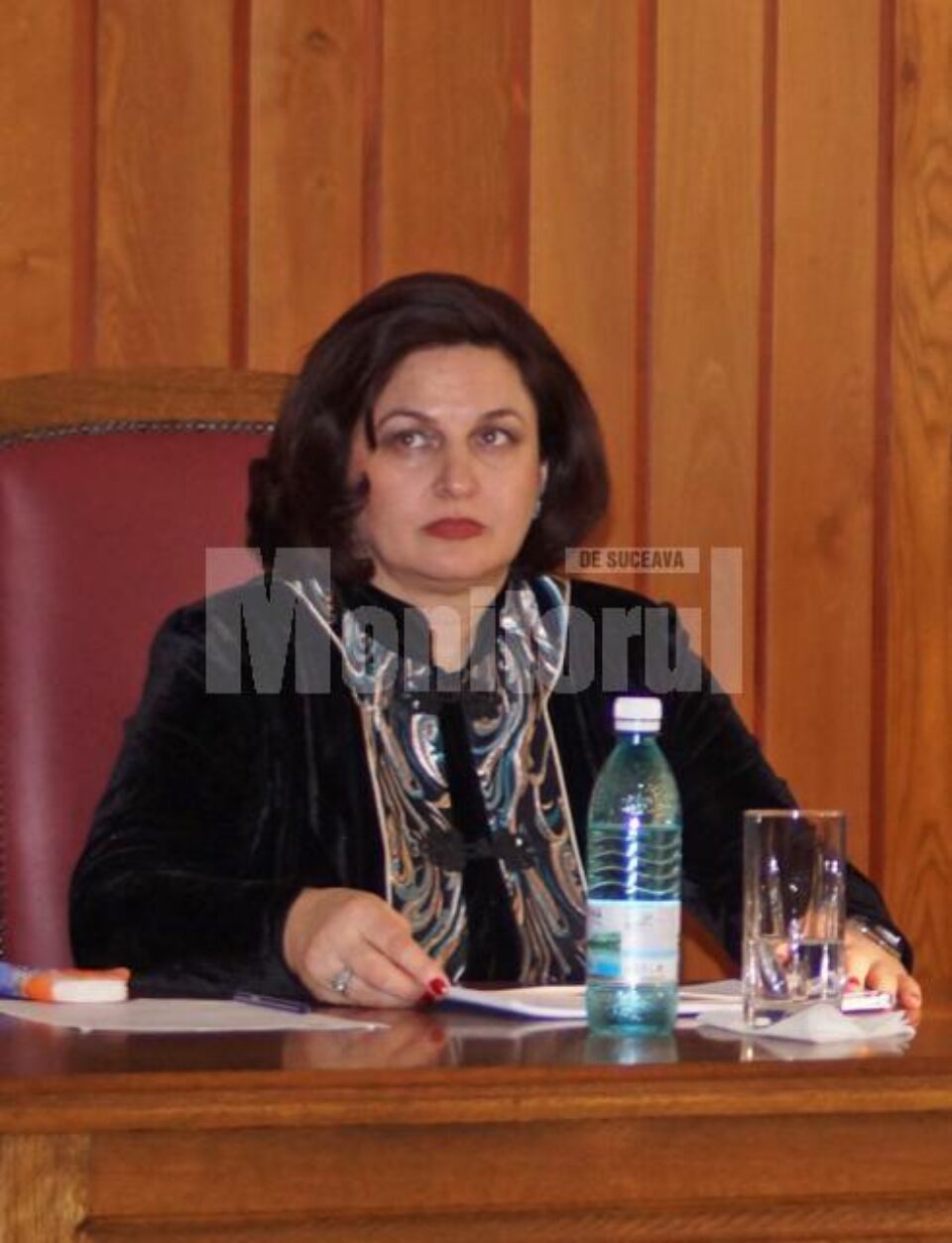Maria Andrieș, vicepreședinte Curtea de Apel Suceava