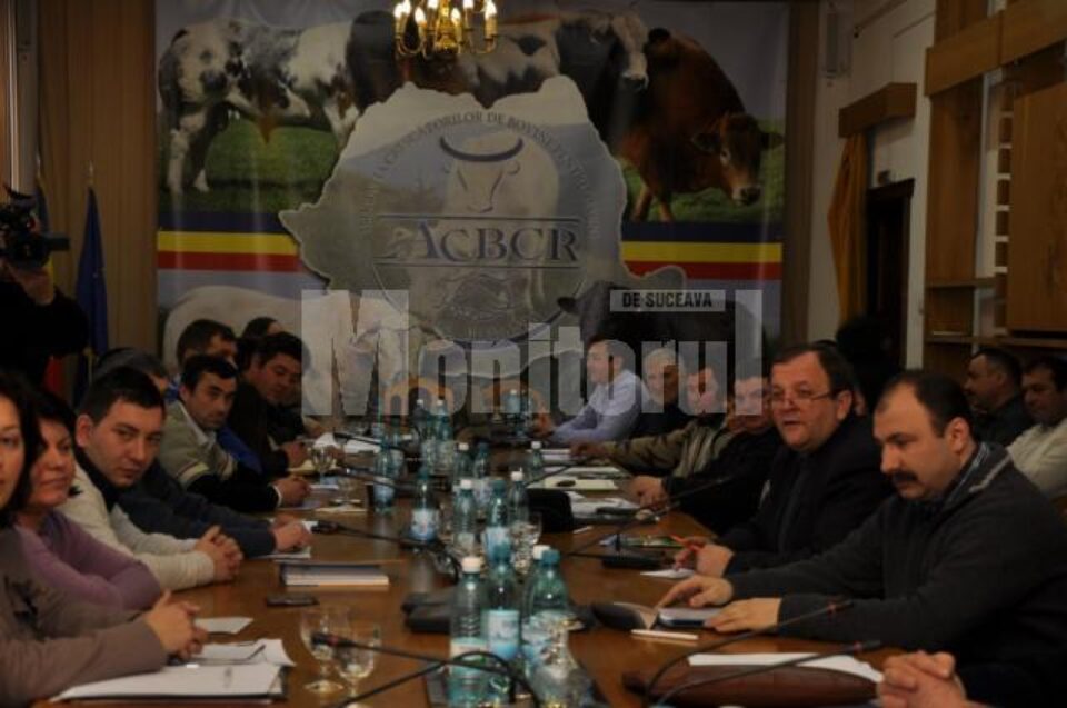 La Suceava a luat ființă sâmbătă Asociația Crescătorilor de Bovine pentru Carne din România La Suceava a luat ființă sâmbătă Asociația Crescătorilor de Bovine pentru Carne din România