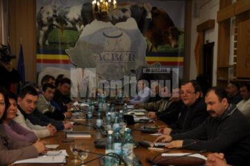 La Suceava a luat ființă sâmbătă Asociația Crescătorilor de Bovine pentru Carne din România