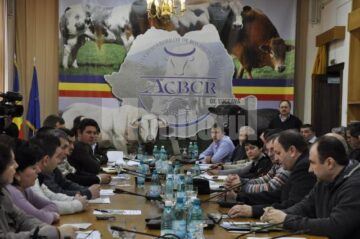 Ședința de constituire a Asociația Crescătorilor de Bovine pentru Carne din România a avut loc sâmbătă, la sediul Consiliului Județean