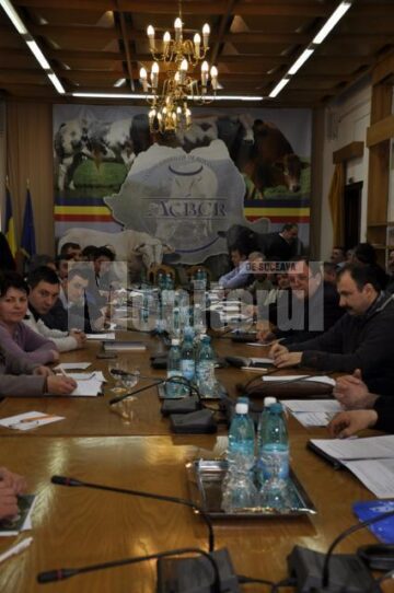 Ședința de constituire a Asociația Crescătorilor de Bovine pentru Carne din România a avut loc sâmbătă, la sediul Consiliului Județean