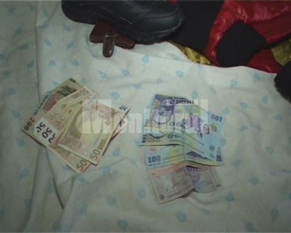 Banii găsiți asupra tânărului de 27 de ani