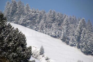 Troiene uriașe și pericol de avalanșe în munții din județ