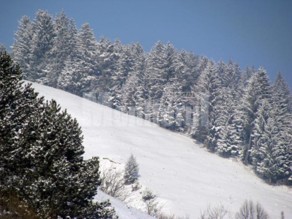 Troiene uriașe și pericol de avalanșe în munții din județ Troiene uriașe și pericol de avalanșe în munții din județ
