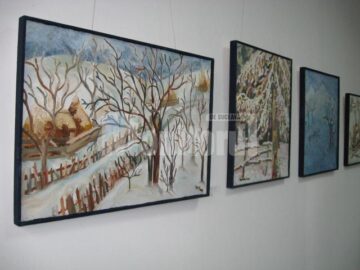 Secvență din expoziția „Iarna la Vatra Dornei”