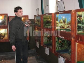 Expoziția „Reptile vii”, deschisă la Muzeul de Științele Naturii Suceava până pe 8 aprilie