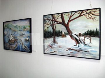 Secvență din expoziția Iarna la Vatra Dornei