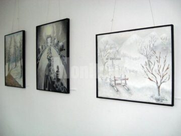 Secvență din expoziția Iarna la Vatra Dornei