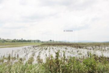 Suprafețele acoperite cu apă s-au redus în 30 de județe din țară și au crescut în 12