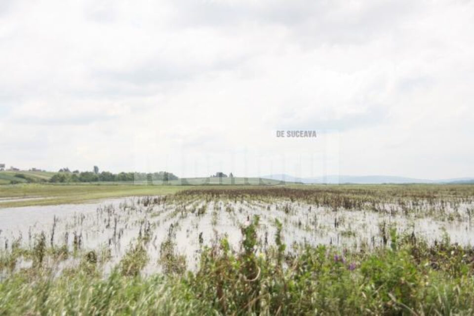 Suprafețele acoperite cu apă s-au redus în 30 de județe din țară și au crescut în 12