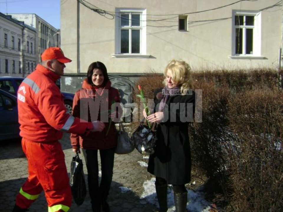 Sute de lalele au fost împărțite pe stradă ieri, de cadre ale ISU Suceava