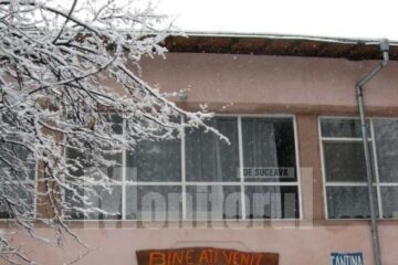 Tabăra a ajuns o ruină, o adunătură de clădiri devastate, un loc de jaf din care se fură ca-n codru