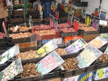 Expoziția agricolă poate fi vizitată între orele 10:00 și 18:00, inclusiv duminică, 18 martie