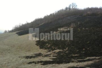 În incendiul de sâmbătă, au ars aproximativ zece hectare de vegetație uscată și 200 de mp din litiera pădurii