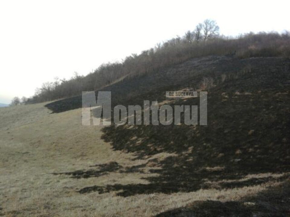 În incendiul de sâmbătă, au ars aproximativ zece hectare de vegetație uscată și 200 de mp din litiera pădurii În incendiul de sâmbătă, au ars aproximativ zece hectare de vegetație uscată și 200 de mp din litiera pădurii