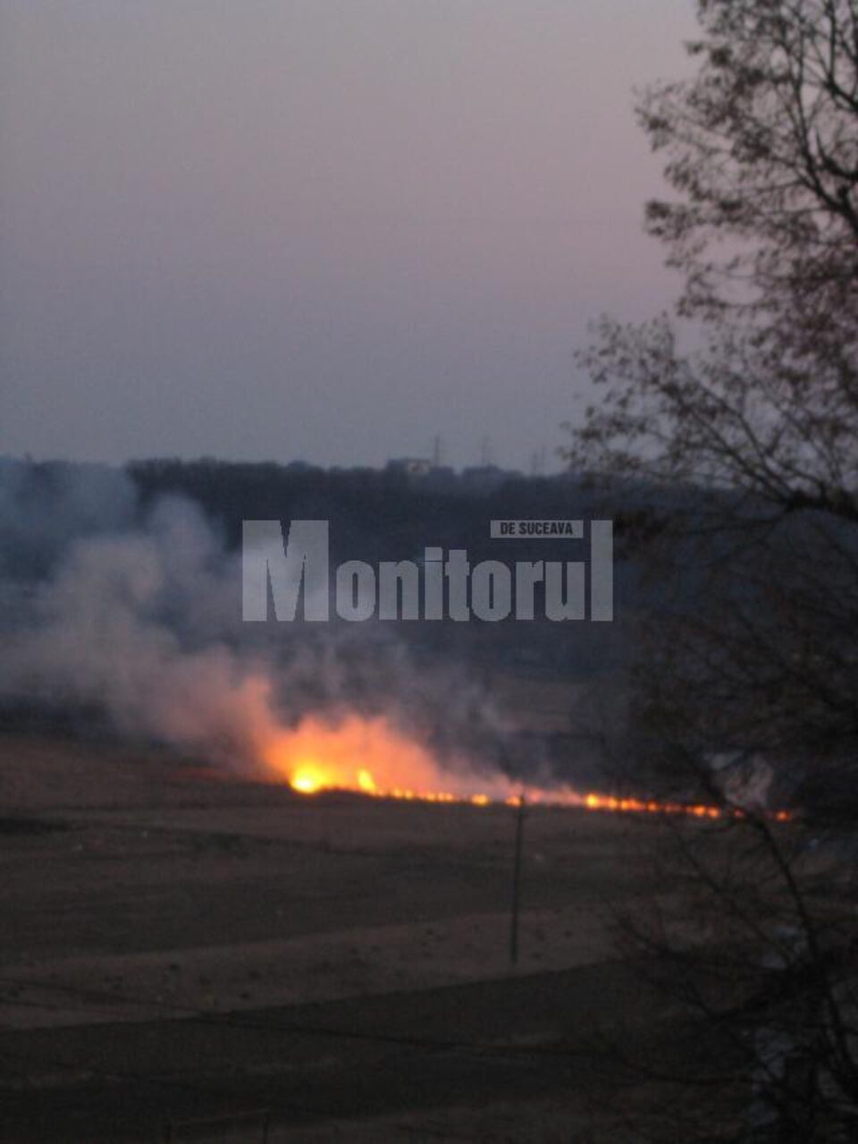 Agricultorii care incendiază vegetația uscată de pe terenurile agricole riscă să-și piardă parțial sau chiar total subvențiile pe suprafață