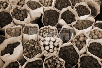 „O florărie la Suceava”