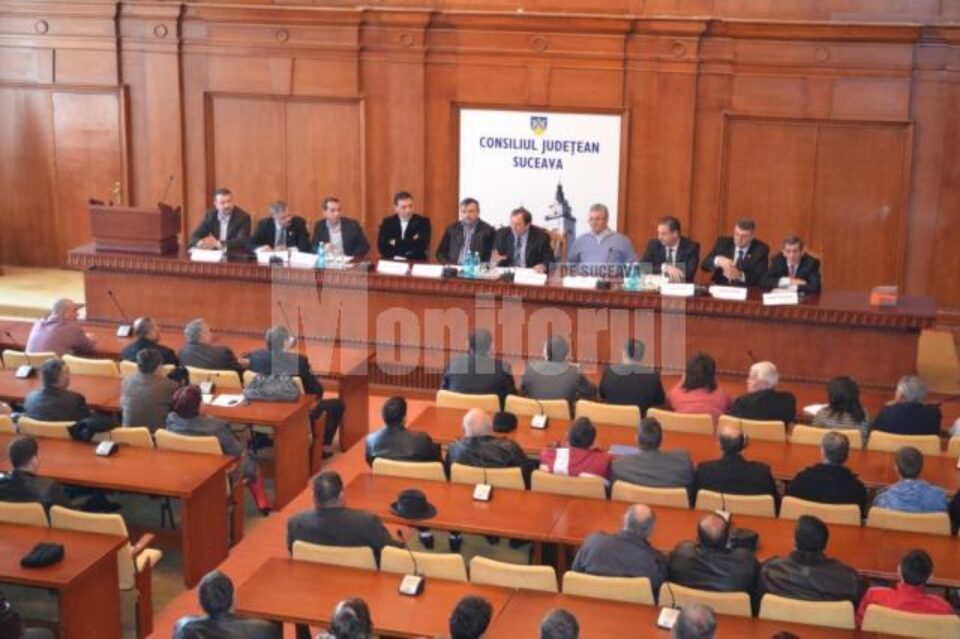 PD-L Suceava va încheia un acord de colaborare cu Partida Romilor – Pro Europa