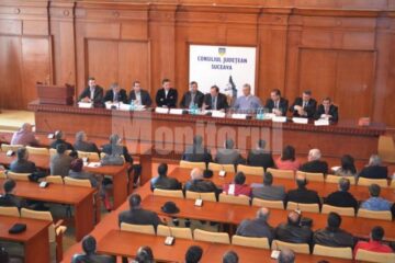 PD-L Suceava va încheia un acord de colaborare cu Partida Romilor – Pro Europa