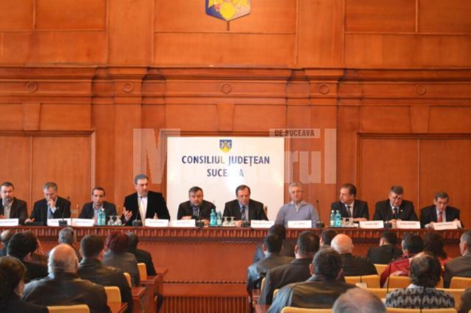 La întâlnirea de ieri au fost prezenți șefii organizațiilor PD-L din cinci județe din Moldova și 200 de membri ai Partidei Romilor