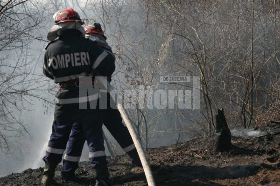 Pompierii au intervenit ieri la 14 incendii de vegetație uscată Pompierii au intervenit ieri la 14 incendii de vegetație uscată