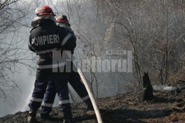 Pompierii au intervenit ieri la 14 incendii de vegetație uscată