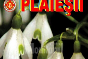 Revista „Plăieșii”
