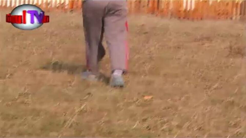 Copil atacat și omorât de o haită de câini