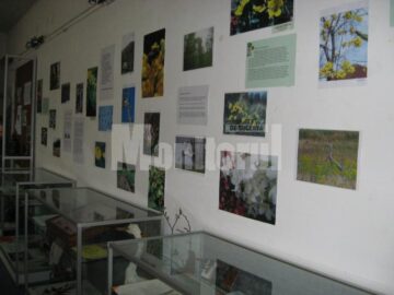Expoziția Vestitorii primăverii