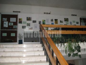Expoziția Vestitorii primăverii