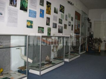 Expoziția Vestitorii primăverii