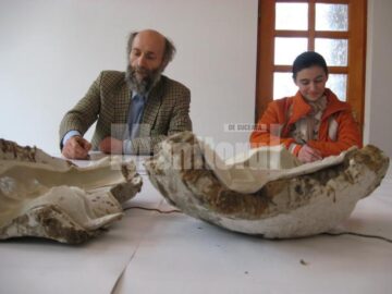 Profesorul și elevul lucrând, un exercițiu al minții și al mâinii deopotrivă